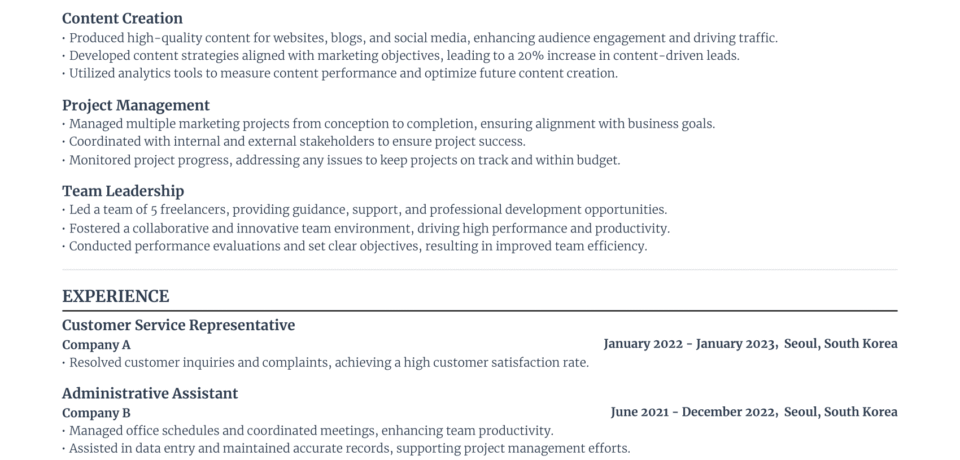 a Perfect CV