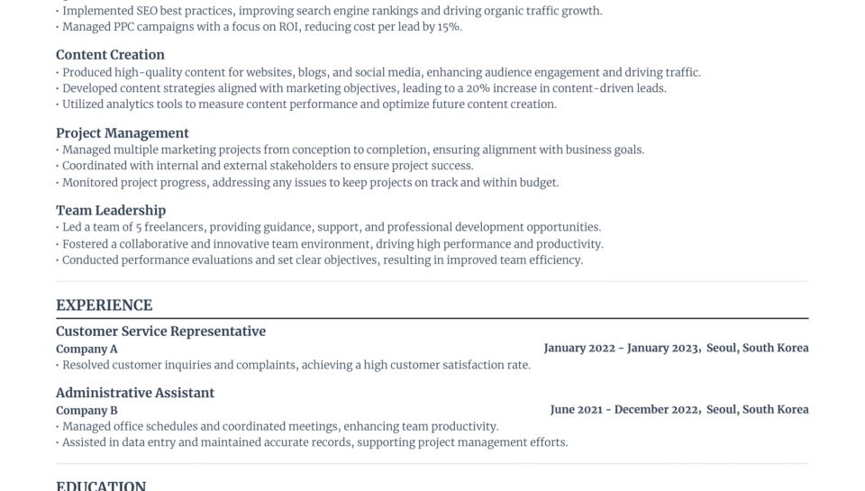 a Perfect CV a Perfect CV
